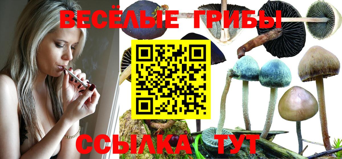 Галлюциногенные грибы Psilocybine cubensis Усинск