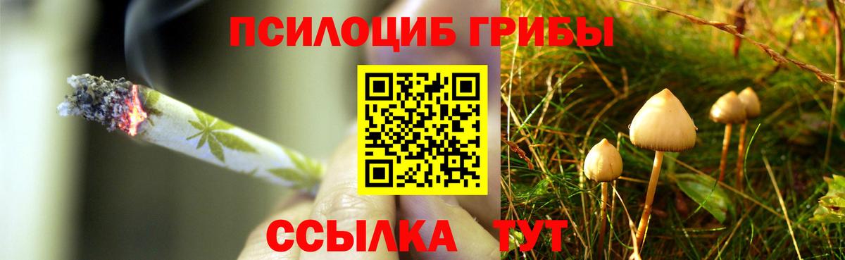 Усинск  Галлюциногенные грибы Cubensis  Вход с VPN  Псилоцибиновые грибы MAGIC MUSHROOMS 