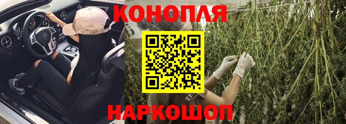 Канабис сатива Усинск